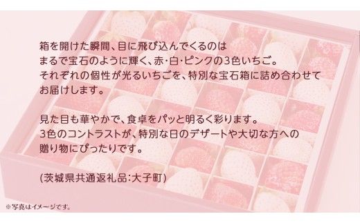 3色いちご の宝石箱18粒【2026年12月上旬発送開始】(茨城県共通返礼品：大子町) いちご 苺 果物 フルーツ 果実