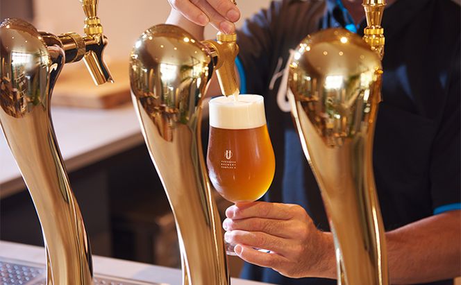 人気クラフトビール詰め合わせ3種類3本セット お酒 長野県 飲み比べ ペールエール IPA ペルジャンホワイト YUDANAKA 晩酌 ギフト 