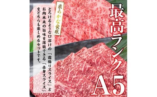 【小分け】＜A5等級＞鹿児島県産黒毛和牛 すき焼きしゃぶしゃぶセット(霜降りスライス・赤身スライス各200g×3P/計1.2kg) b6-022