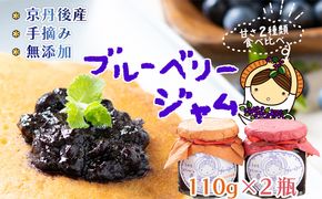 【ブルーベリー】ジャム2本セット（110g×２）通常と甘さひかえめ　ブルーベリージャムの食べ比べ　各1本ずつ　ブルーベリー ジャム 無添加 手作り 果物 加工食品 2本 セット ぶるーべりー じゃむ フルーツ 果物 　FG00005