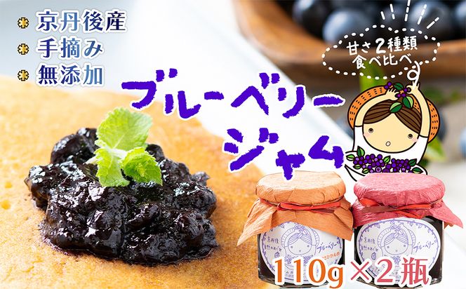 【ブルーベリー】ジャム2本セット（110g×２）通常と甘さひかえめ　ブルーベリージャムの食べ比べ　各1本ずつ　ブルーベリー ジャム 無添加 手作り 果物 加工食品 2本 セット ぶるーべりー じゃむ フルーツ 果物 　FG00005