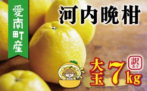 訳あり 河内晩柑 大玉 7kg 7000円 みかん かわちばんかん わけあり 愛南ゴールド あいなん ゴールド 美生柑 文旦 グレープフルーツ 和製 家庭用 産地直送 国産 農家直送 期間限定 数量限定 ビタミン 特産品 ゼリー ジュース 人気 限定 さわやか 甘い フルーツ 果物 柑橘 蜜柑 規格外 塚岡農園 愛南町 愛媛県