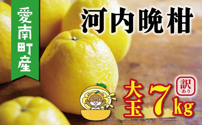 訳あり 河内晩柑 大玉 7kg 7000円 みかん かわちばんかん わけあり 愛南ゴールド あいなん ゴールド 美生柑 文旦 グレープフルーツ 和製 家庭用 産地直送 国産 農家直送 期間限定 数量限定 ビタミン 特産品 ゼリー ジュース 人気 限定 さわやか 甘い フルーツ 果物 柑橘 蜜柑 規格外 塚岡農園 愛南町 愛媛県