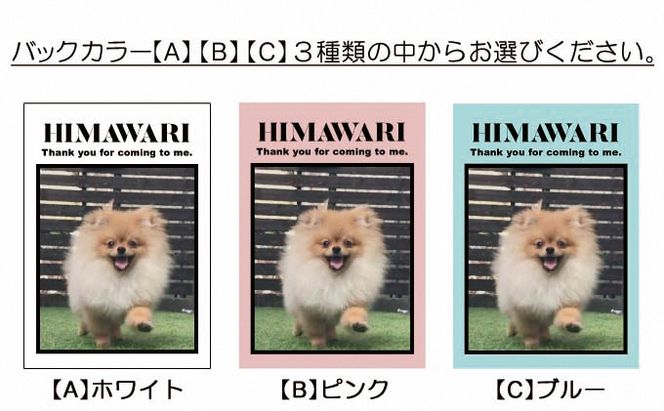 ペットの可愛いお写真をキーホルダーに♪うちの子アクリルキーホルダー（デザインB）