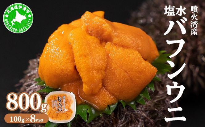 ykCɒBszkC ΘpY  otEj 100g 8pbN v800g  Ej _O CN C̍K  Ej i Z Y Yn  RY  y55250873z