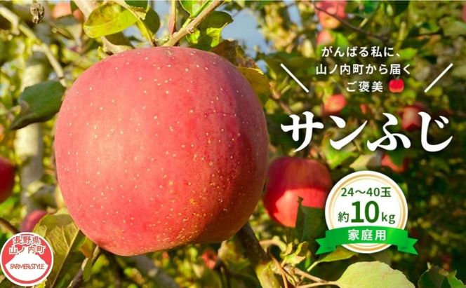【2026年12月発送】今日を癒すひと玉 私のサンふじ サンふじ 家庭用 10kg りんご 果物