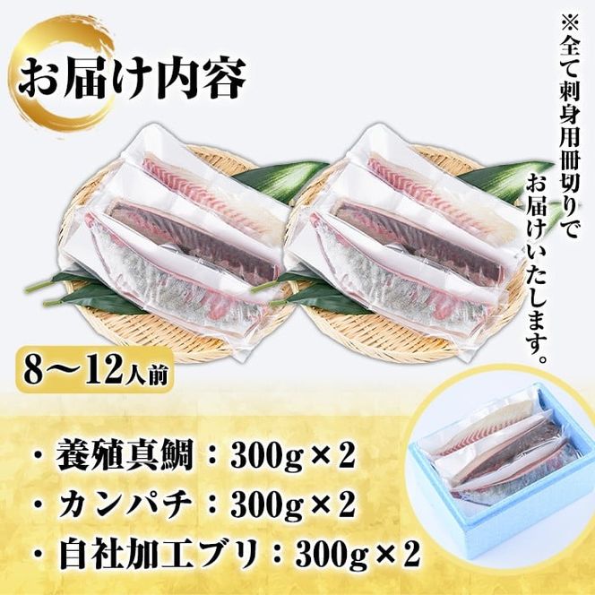 厳選お刺身BOX(8～12人前) 国産 お刺身 魚貝 魚介 鯛 カンパチ ブリ 海産物 刺身 おつまみ セット 【さるがく水産】akn028-27