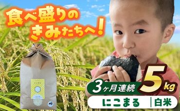 【3回定期便】にこまる　白米　5kg　お米　ご飯　愛西市／株式会社戸倉トラクター[AECS058]