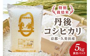【特別栽培米】コシヒカリ『豊饒』 5kg （真空パック）久美浜 国産 産地直送 お米 白米 丹後コシヒカリ おにぎり お弁当 京都産 京丹後 こしひかり ふるさと納税 コシヒカリ 精米 こしひかり 米 生産者応援 農家応援　KO00036