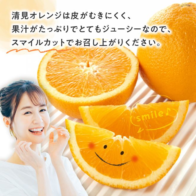 【2027年先行予約】清見オレンジ 約4.5kg 湯浅町田村産 春みかん（果実サイズおまかせ）/ 紀伊国屋文左衛門本舗_V7030