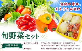 サラファームの品とふるさとフレッシュ便 旬野菜セット 野菜 果物 プラムトマト パプリカ 《30日以内に出荷予定(土日祝を除く)》 笠岡アグリセンター 野菜 岡山県 笠岡市---H-60---