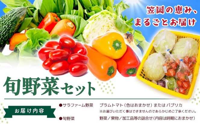 サラファームの品とふるさとフレッシュ便 旬野菜セット 野菜 果物 プラムトマト パプリカ 《30日以内に出荷予定(土日祝を除く)》 笠岡アグリセンター 野菜 岡山県 笠岡市---H-60---