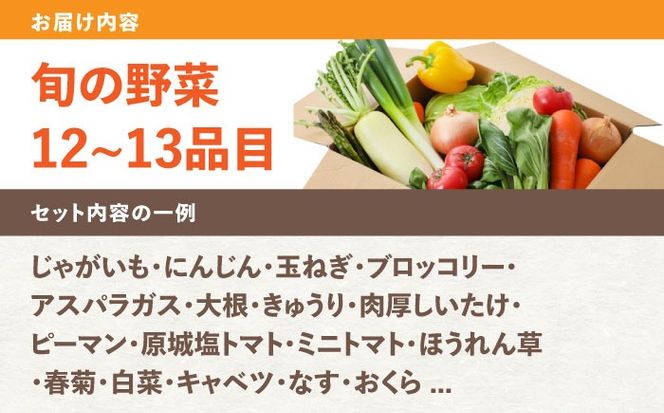 野菜のプロが選ぶ 旬の野菜セット 12〜13品目 野菜定期便 / 野菜 やさい セット 新鮮 / 南島原市 / 愛2農園[SGG005]