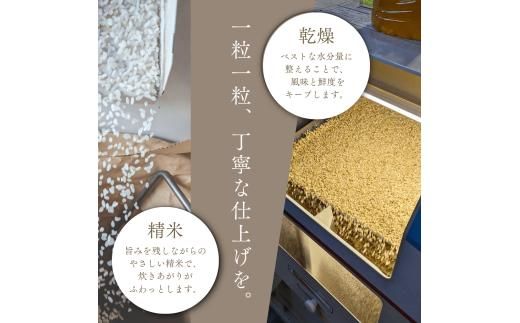 【順次発送中】◇令和7年産◇FURUCRI FARM 余市産 ななつぼし(玄米・精米) 6kg_Y067-0337