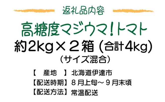 【2026年先行予約】北海道 伊達 岡本園芸 ミニトマト 高糖度 約4kg【マジウマ！トマト】