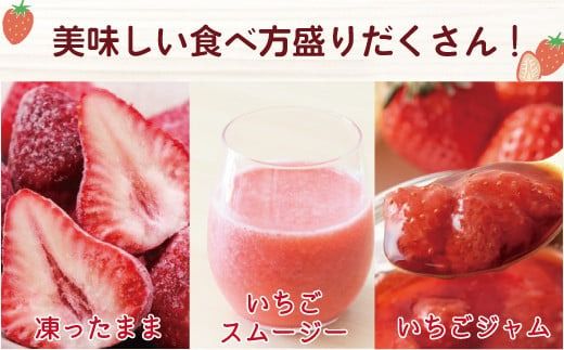 令和6年産 冷凍イチゴ2kg（あまおう）先行予約2024年4月以降順次発送　VZ001