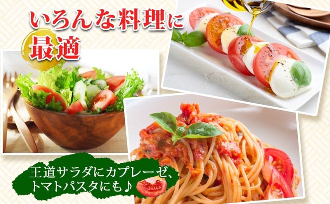 北海道 高橋農園 桃太郎トマト 4kg以上 M～Lサイズ (18玉～24玉) 5月下旬～9月上旬頃お届け 大玉トマト tomato 産地直送 農家直送 新鮮 野菜 安心 安全 とれたて 完熟 洞爺湖町 送料無料