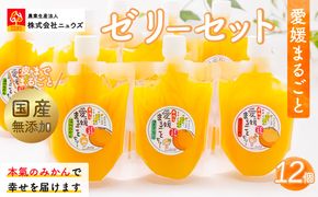 【皮までまるごと国産無添加】愛媛まるごとゼリーセット（12個） IKTF012