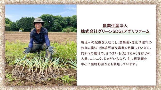 茨城県産 紅はるか 10kg 土付き 無選別 熟成 さつまいも 生芋 芋 サツマイモ 農薬不使用 化学肥料不使用 甘い 焼き芋 スイートポテト ねっとり[DX09-NT]