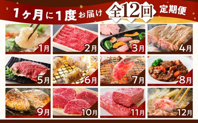 【全12回】鹿児島黒毛和牛定期便　K130-T01