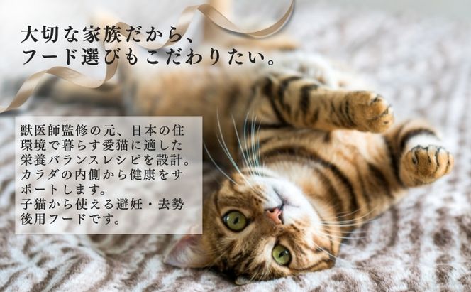 日本ペットフード ビューティープロ キャット 避妊・去勢後用 560g（80g×7袋入）×10袋（ケース） キャットフード