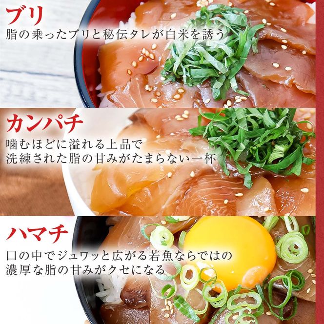 これが魚屋の漬け丼だ！魚屋のおまかせ5種漬け丼セット(マグロ＋鯛＋おまかせ3種) 5種×3P 合計15パック 各80g 鮪 鯛 詰め合わせ 漬け丼 漬け どんぶり 丼 15パック 海鮮 魚 真空パック 個食 個包装 冷凍
