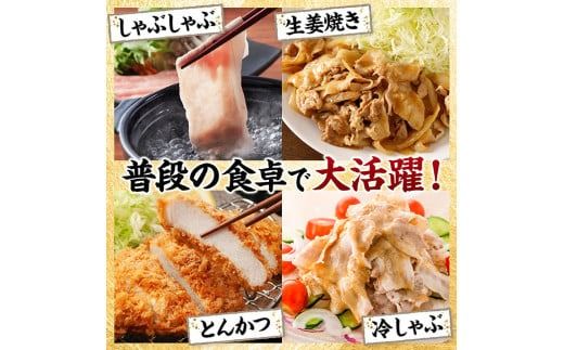 宮崎県産豚肉5種　3.2kg 【 豚肉 ぶた肉 肉 ロース バラ 切り落とし ミンチ 焼肉用 しゃぶしゃぶ 豚肉セット 】[D11622]