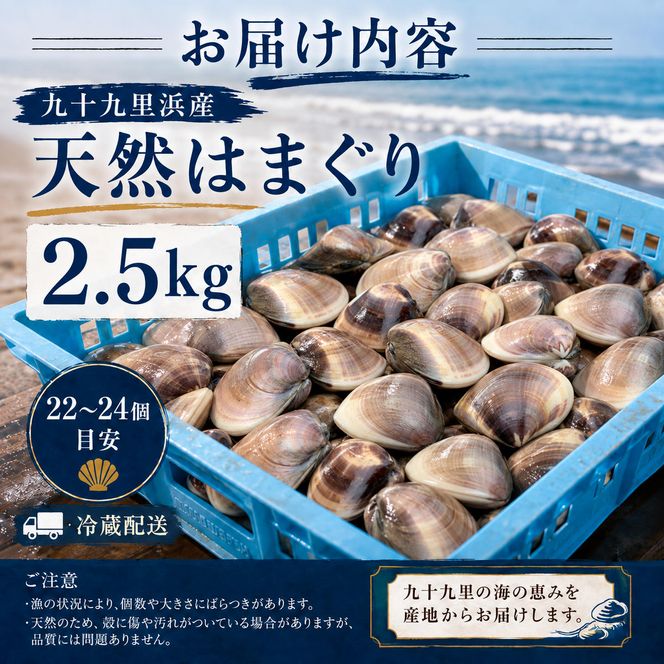 はまぐり 千葉 九十九里産 天然はまぐり 2.5kg 貝 海鮮 海産物 海の幸 魚介 魚介類 水産 水産物 はまぐり鍋 バーベキュー BBQ お吸い物 国産 天然 ハマグリ 蛤 絶品九十九里の”味” 産地直送 冷蔵 冷蔵配送 千葉県 九十九里 九十九里町