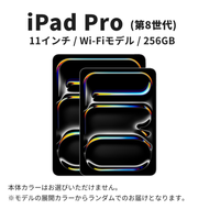 【数量限定】Apple iPad Pro 11インチ 2025年発売 第8世代 256GB Wi-Fiモデル