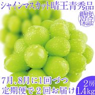 2026年先行予約【2回定期便】シャインマスカット晴王2房 約1.4kg 7月8月に出荷 人気 岡山県産 種無し 皮ごと食べる みずみずしい フレッシュ 晴れの国 おかやま 果物大国 ハレノフルーツ