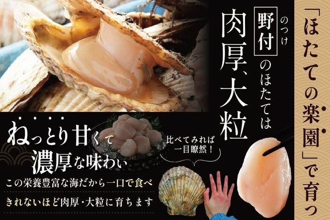 北海道野付産 特大ほたて 500ｇ 個包装（10〜13⽟前後）（Lサイズ）【KN0000025】