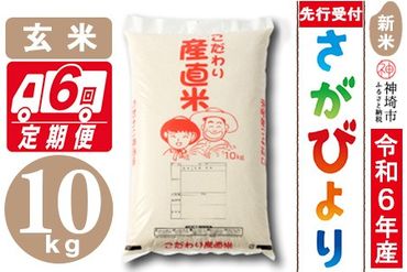 【令和6年産 新米先行受付】さがびより 玄米 10kg【6ヶ月定期便】【米 お米 コメ 玄米 10kg×6 おいしい ランキング 人気 国産 ブランド 地元農家】(H061277)