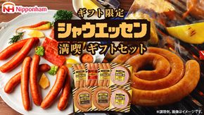 日本ハム シャウエッセン 満喫 ギフトセット ギフト限定 肉 お肉 豚肉 にく あらびき ソーセージ 日ハム ハム チョリソー ステーキ 贈答 ギフト 詰め合わせ [AA100ci]