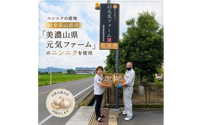 ばかみたいに旨いたれ　料理用万能たれ　2本セット  [No.1044]
