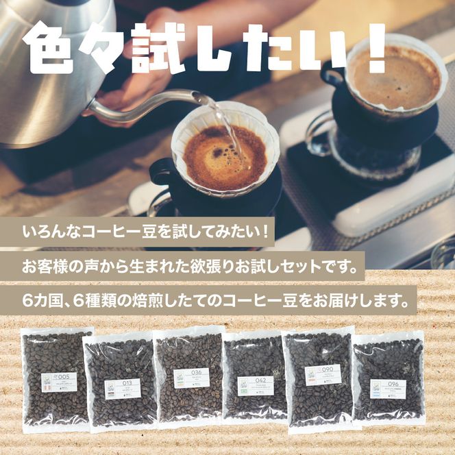 [粉]コーヒー豆 100g×6種類セット 合計600g 注文後焙煎 272183_BG427