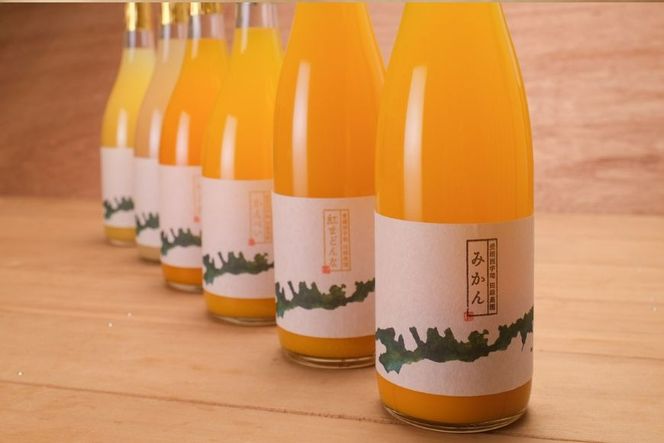 【先行受付】【数量限定】【愛媛県産】田縁農園の無添加100% ストレートジュース12種おまかせセット 720ml 全12種（2026年1月より順次発送） IKTA013
