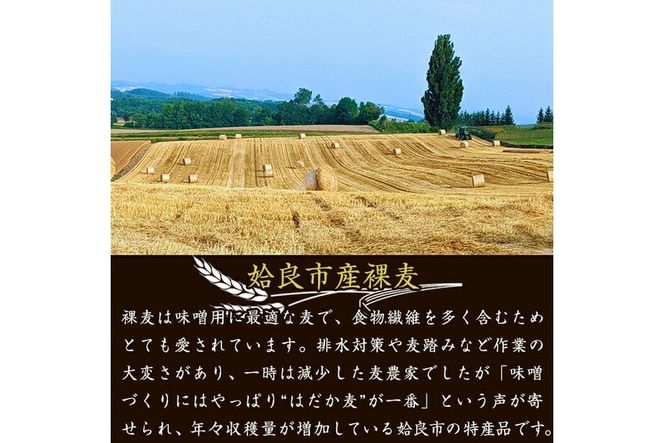 a738 鹿児島県姶良市産の裸麦を使用！昔ながらの手法で作った裸麦みそ「本仕込み かもう麦味噌」合計5kg(1kg×5袋)！【蒲生農産加工】国産 姶良市 みそ 味噌 麦みそ 麦味噌 調味料 本仕込み 常温　常温保存