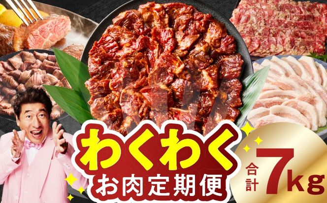 099Z575 わくわくお肉定期便 全6回 合計7kg【ハラミ 牛たん 豚トロ 焼肉 BBQ やきにく ファミリー 定期便】