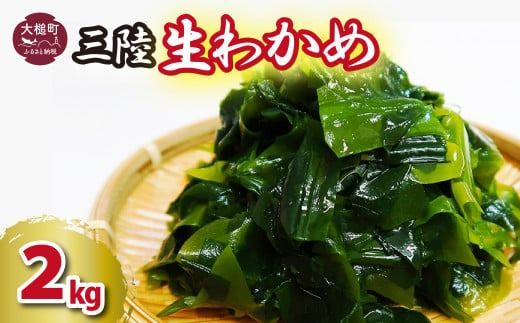 生わかめ 2kg（1kg×2パック）【3月末～4月発送】【06】