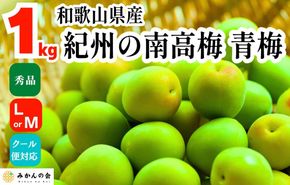 [2025年6月上旬出荷] 青梅 南高梅 約1kg 秀品 LまたはMサイズ 和歌山県産 A品 梅酒作り用 梅ジュース作り用 AX395