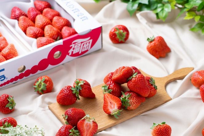 福岡産【冬】あまおう2パック(約250g～/1パック)【南国フルーツ株式会社】_HA1909