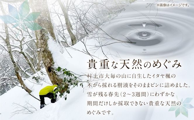 メープルサップ「かえでの宝石」500ml×2本セット　1093001　