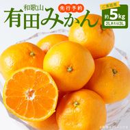 ご家庭用　和歌山有田みかん 約5kg (2L、3Lサイズいずれか)【湯浅町】_AT6307