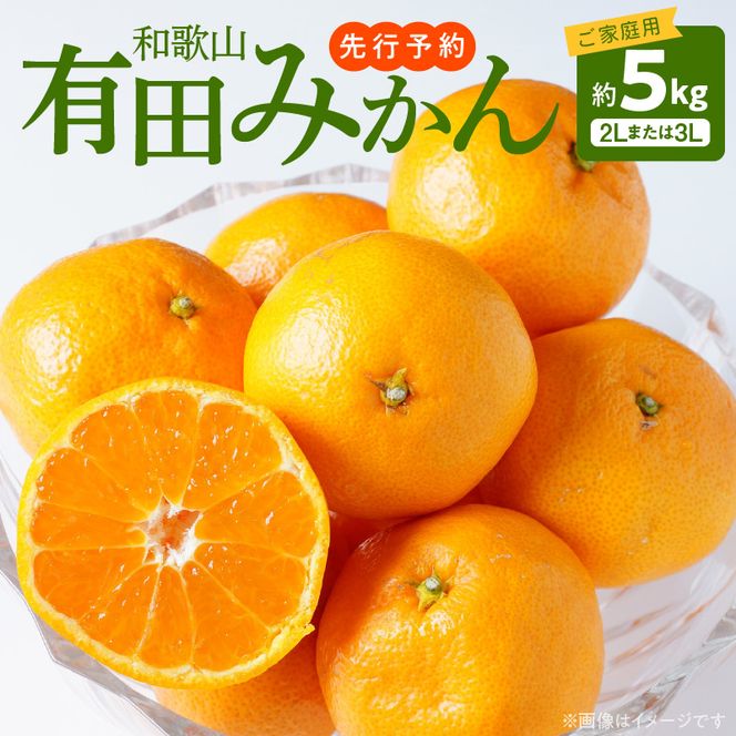 ご家庭用　和歌山有田みかん 約5kg (2L、3Lサイズいずれか)【湯浅町】_AT6307