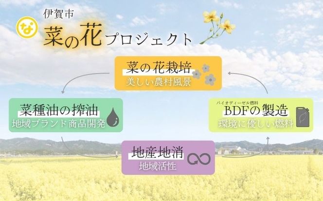 七の花セレクションAセット【oymd002】