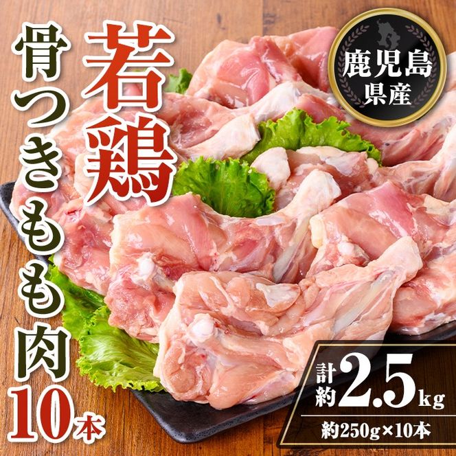 yɍszisa711 Y {t10{Zbg (v2.5kgE250g×10{) Y {      ύ [Xg g ^ ^pbN AEghA BBQ Ⓚ yTRINITYz