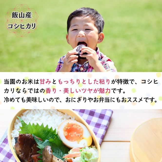 【先行予約】《 令和８年産 新米 》 こしひかり玄米 5kg  奥信濃飯山～木内ファームのお米～《 2026年9月20日頃より出荷 》 (Ca-052) 