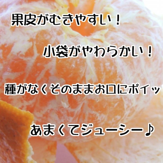 【先行予約】【秀品】デコポン 和歌山有田 約2.5kg