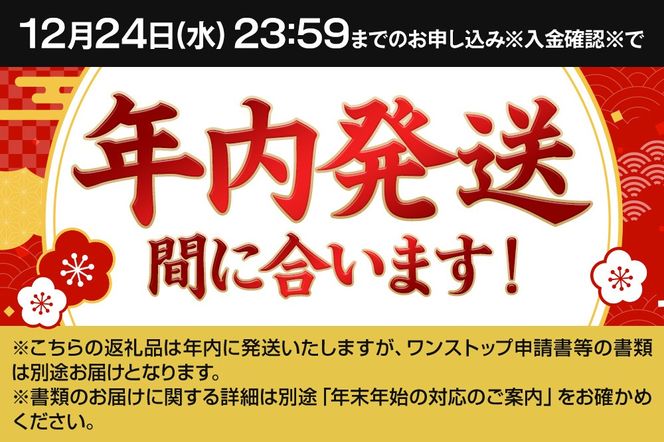 《12月24日までのお申込で年内発送間に合う》《最短翌日発送》サントリー パーフェクトサントリービール ＜350ml×24缶＞|10_omr-152401
