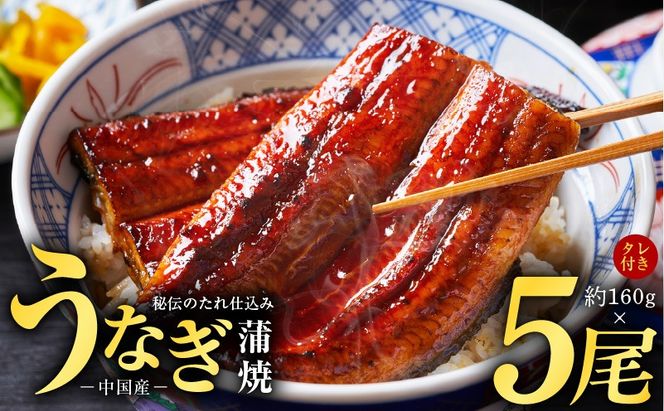 y{򍲖szkgp0020 `̂d Ȃ v800gi160×5jV EiM Y ߂邾 ȒP W ӂӂӂ YΏĂ Y Ă